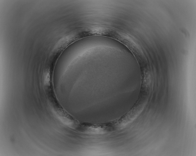 X0000110710502200906121357