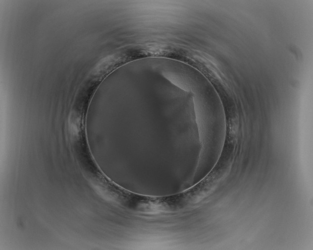 X0000110710503200906121357