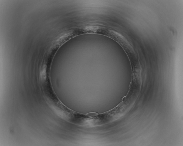 X0000110710504200906121357