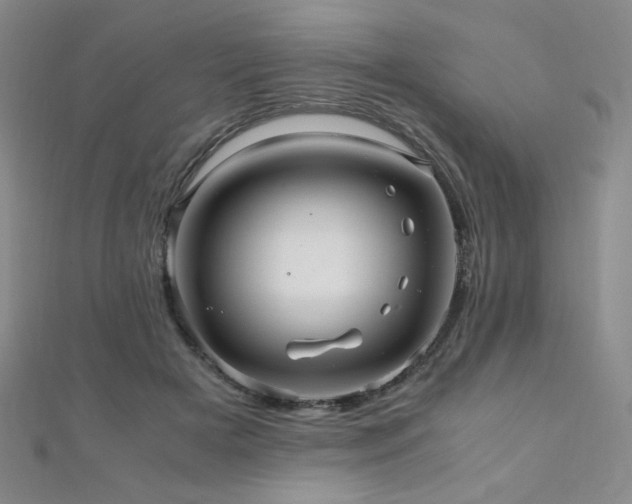 X0000110710505200906121357