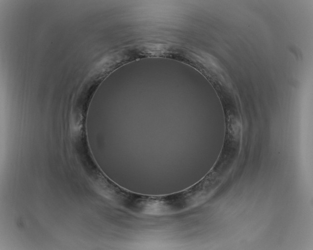 X0000110710507200906121357