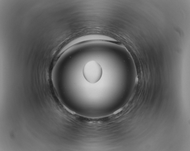 X0000110710508200906121357