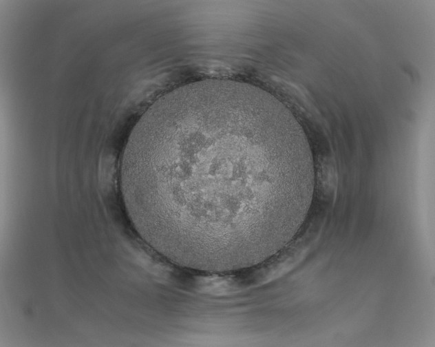 X0000110710511200906121357