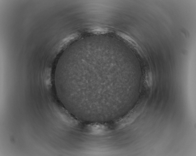 X0000110710512200906121357
