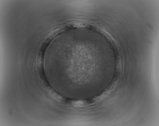 X0000110710513200906121357