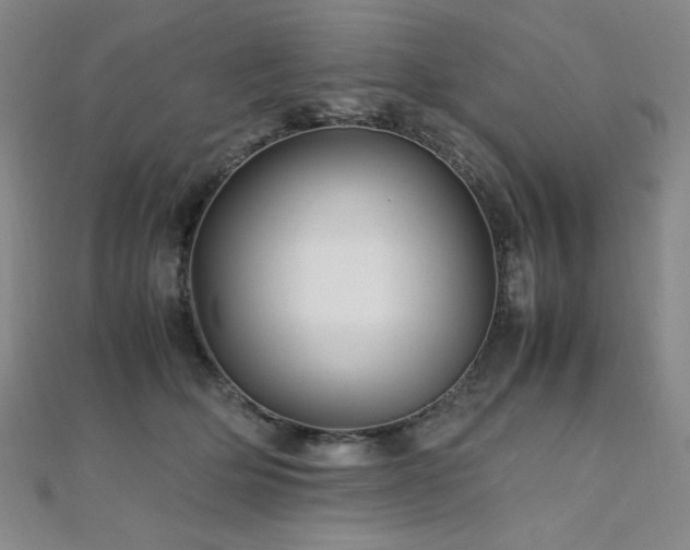 X0000110710514200906121357