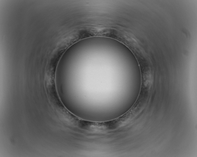 X0000110710515200906121357
