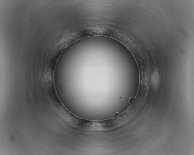 X0000110710518200906121357