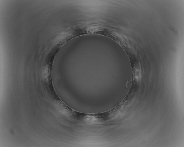 X0000110710519200906121357