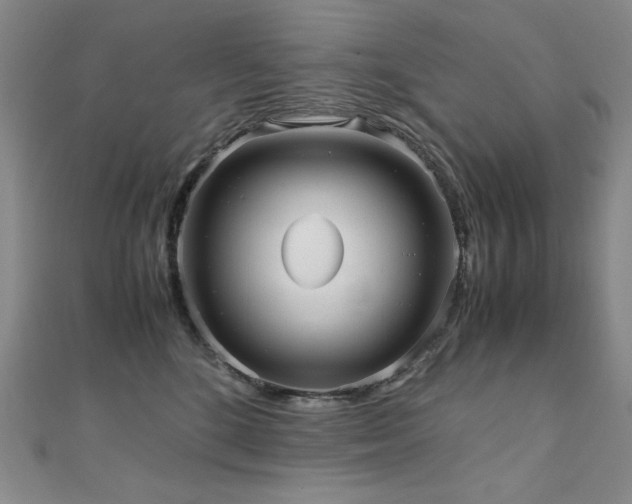 X0000110710520200906121357