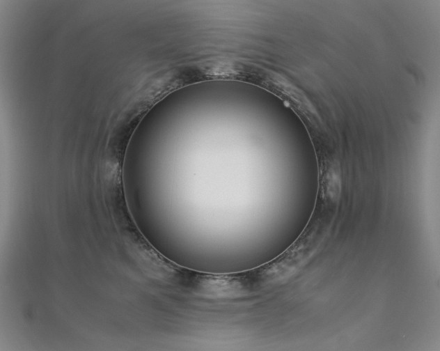 X0000110710521200906121357