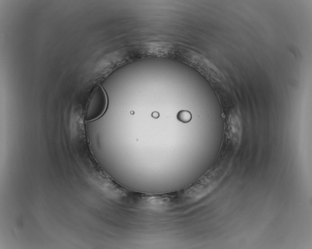 X0000110710522200906121357