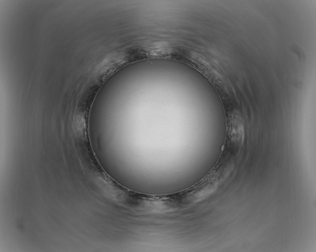 X0000110710523200906121357