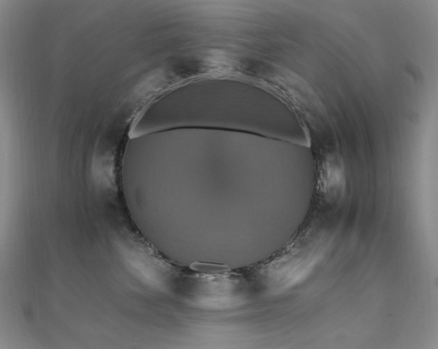 X0000110710524200906121357
