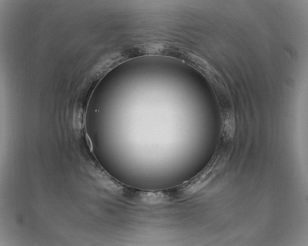 X0000110710525200906121357