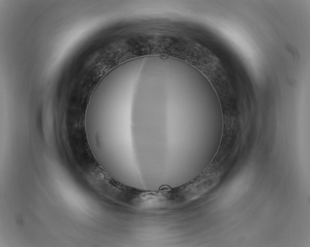 X0000110710526200906121357
