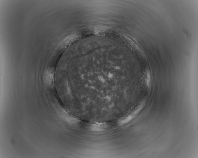 X0000110710527200906121357