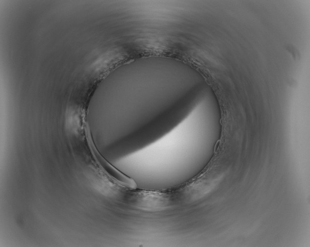X0000110710528200906121357