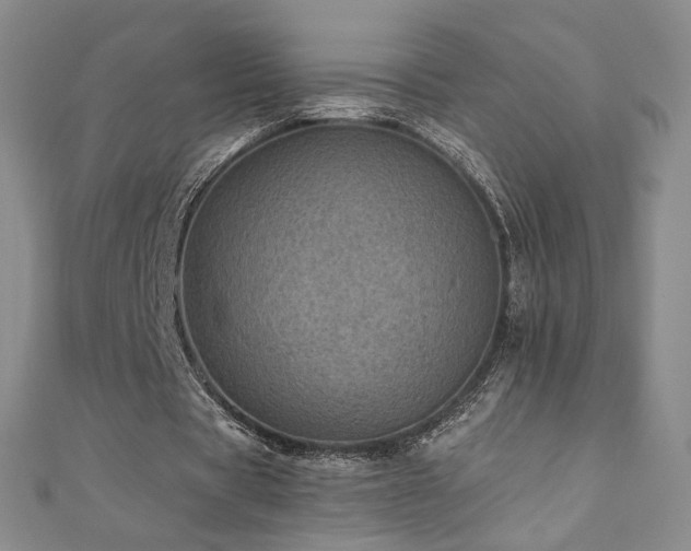 X0000110710529200906121356