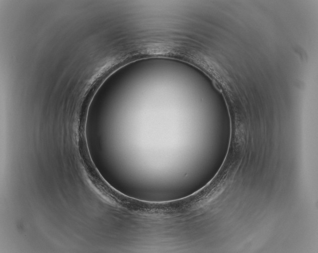 X0000110710530200906121356