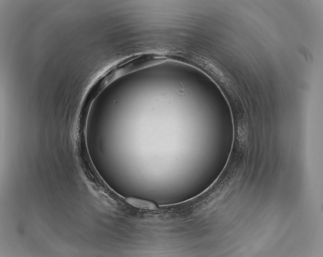 X0000110710532200906121356