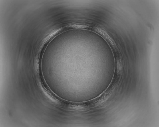 X0000110710533200906121356