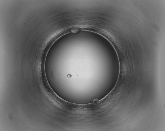 X0000110710535200906121356