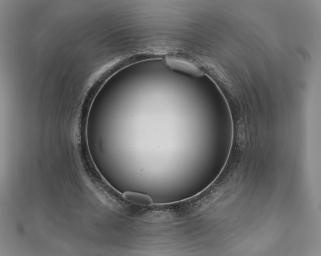 X0000110710536200906121356