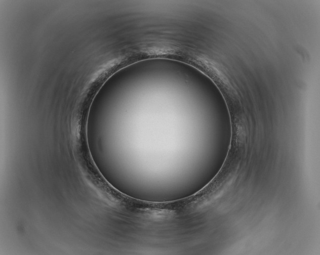X0000110710539200906121356