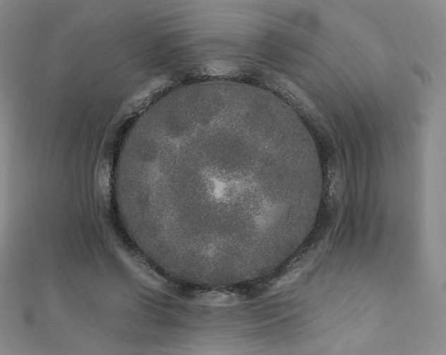 X0000110710542200906121356