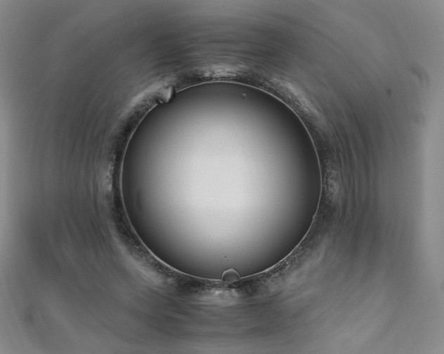 X0000110710543200906121356