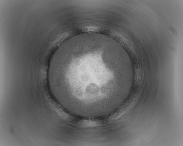 X0000110710545200906121356