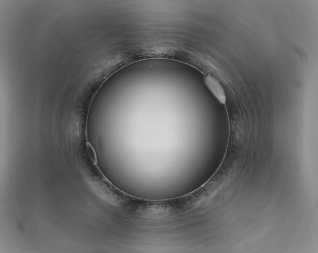 X0000110710546200906121356