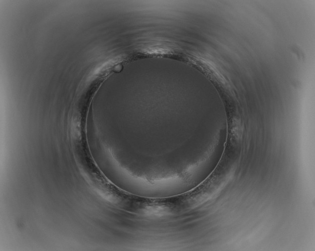 X0000110710547200906121356