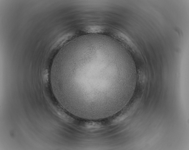 X0000110710549200906121356
