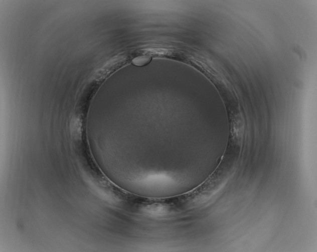 X0000110710551200906121356