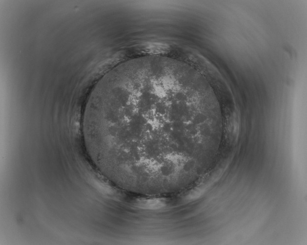 X0000110710553200906121356