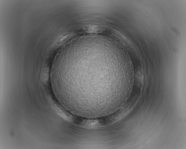 X0000110710554200906121356
