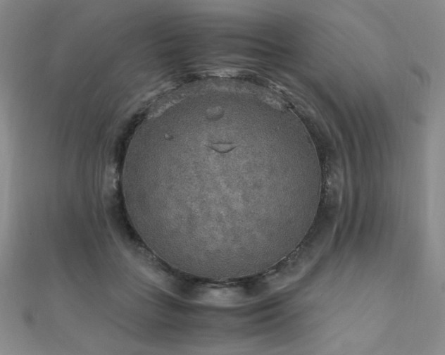 X0000110710555200906121356