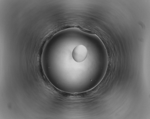 X0000110710556200906121357
