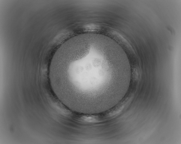 X0000110710557200906121357