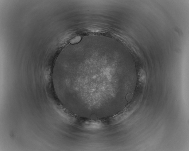 X0000110710559200906121357