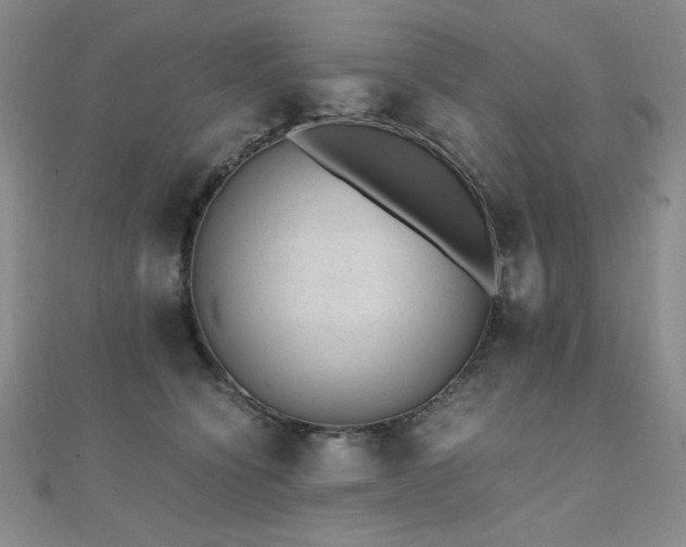 X0000110710564200906121357