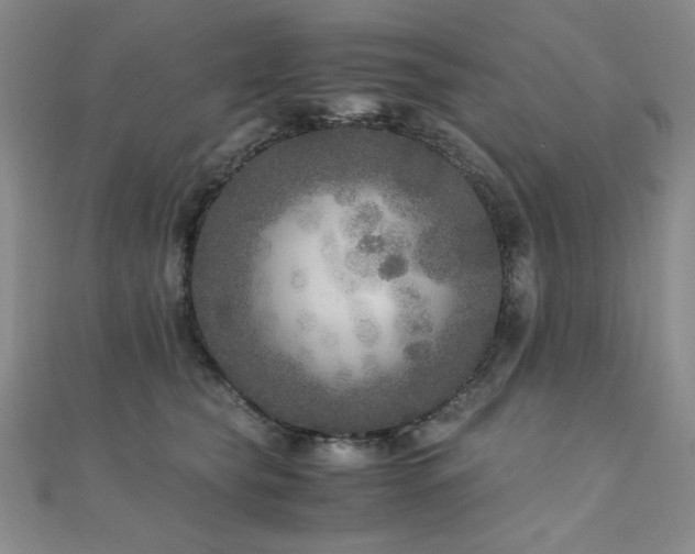 X0000110710565200906121357