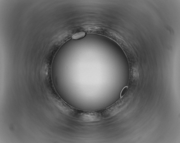 X0000110710567200906121357