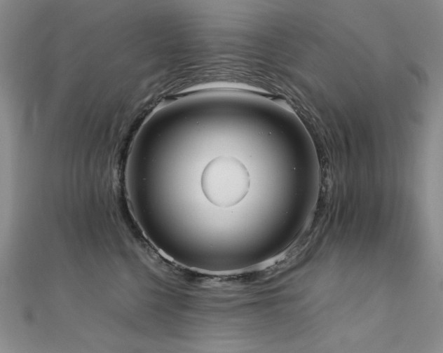 X0000110710568200906121357