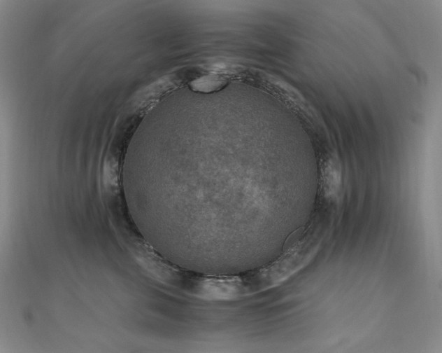 X0000110710571200906121357