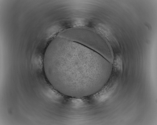 X0000110710572200906121357