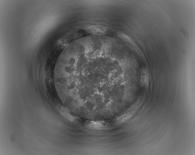 X0000110710573200906121357