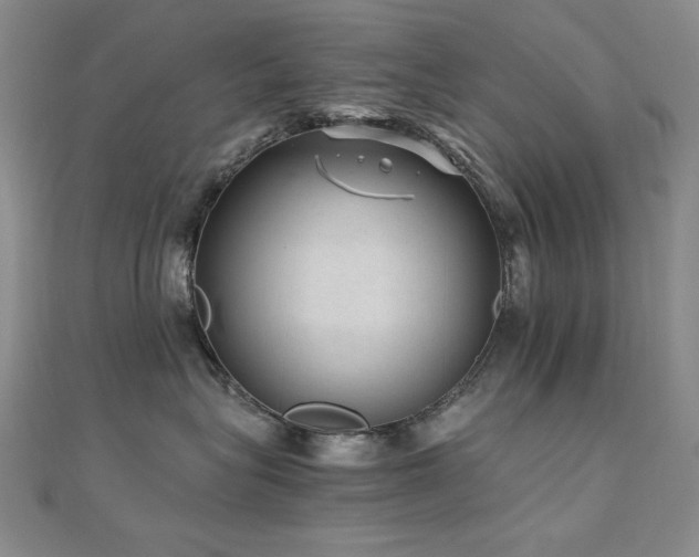 X0000110710575200906121357